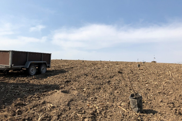 Ореховый сад в Киевской области